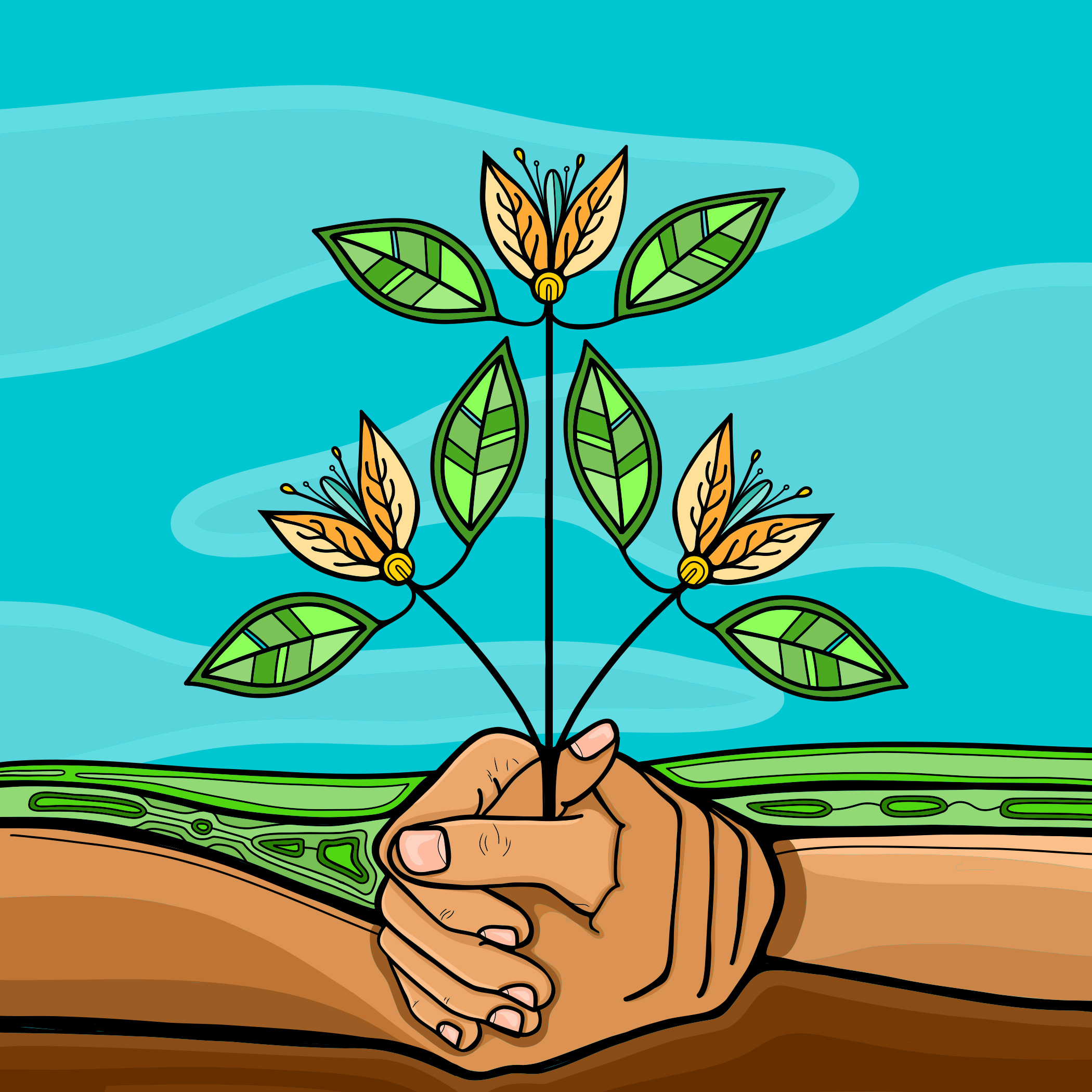 A YEAR IN FOUR SEASONS