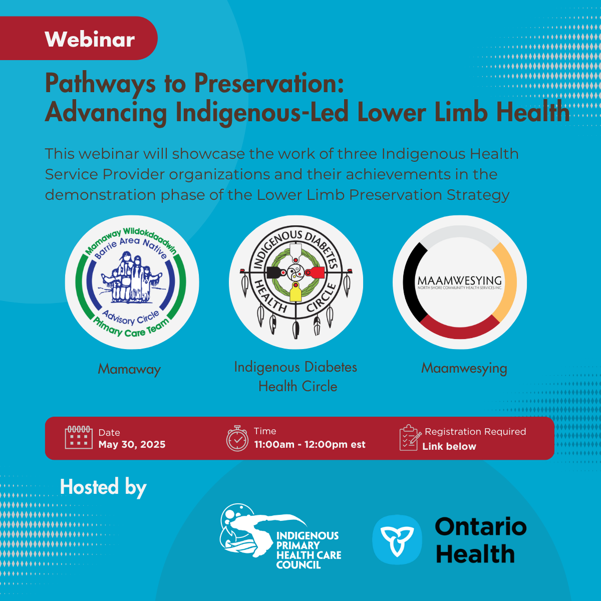 Webinar | Pathways to Preservation: Advancing Indigenous-Led Lower Limb Health